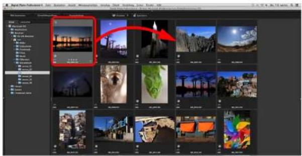 CANON Digital Photo Professional 4.4 Mac - Freies Anordnen - 1