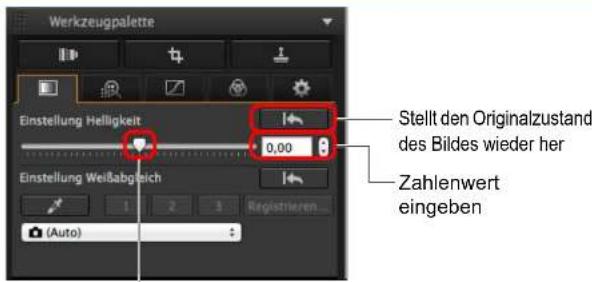 Werkzeugpalette Einstellung Helligkeit 0,00 Stellt den Originalzustand des Bildes wieder her Zahlenwert eingeben Einstellung Weißabgleich 1 2 3 Registrieren (Auto)