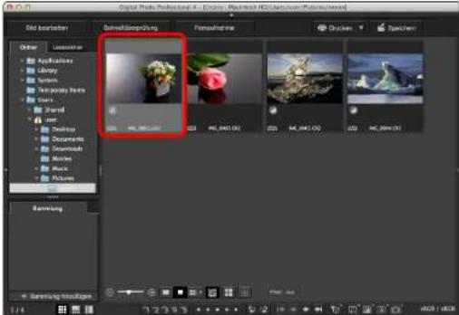 CANON Digital Photo Professional 4.4 Mac - Wählen Sie ein Hintergrundbild im Hauptfenster. - 1