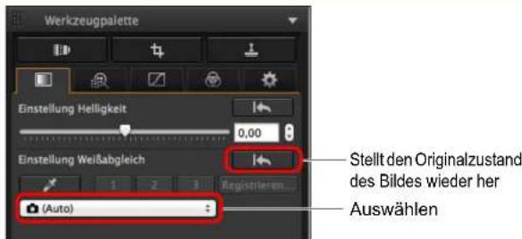 Werkzeugpalette Einstellung Helligkeit 0,00 Einstellung Weißabgleich 1 2 3 Registieren (Auto) Stellt den Originalzustand des Bildes wieder her Auswählen
