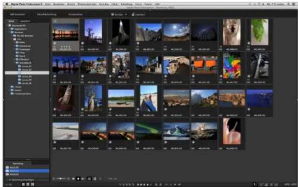 CANON Digital Photo Professional 4.4 Mac - Überprüfen Sie die angezeigten Bilder. - 1