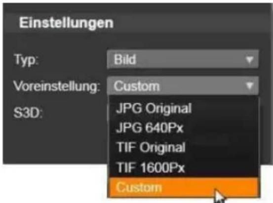Einstellungen Typ: Bild Voreinstellung: Custom S3D: JPG Original JPG 640Px TIF Original TIF 1600Px Custom