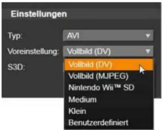 Einstellungen Typ: AVI Voreinstellung: Vollbild (DV) S3D: Vollbild (DV) Vollbild (MJPEG) Nintendo Wii™ SD Medium Klein Benutzerdefiniert
