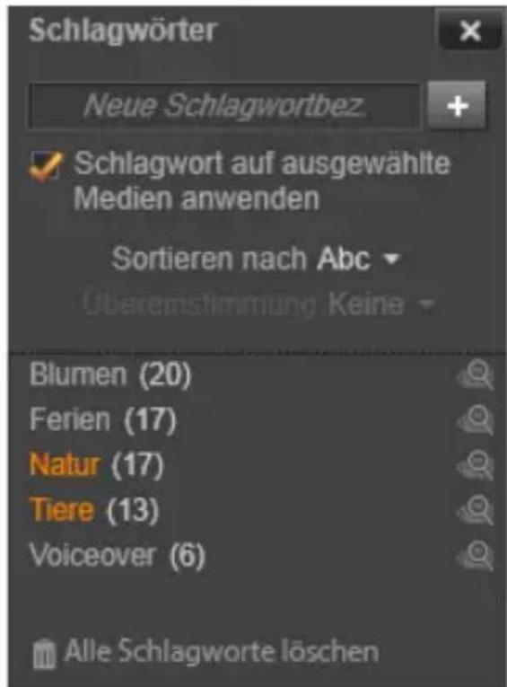 Schlagwörter Neue Schlagwortbez. Schlagwort auf ausgewählte Medien anwenden Sortieren nach Abc Übereinstimmung Keine Blumen (20) Ferien (17) Natur (17) Tiere (13) Voiceover (6) Alle Schlagworte löschen