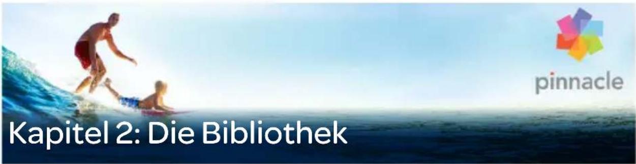 Kapitel 2: Die Bibliothek pinnacle