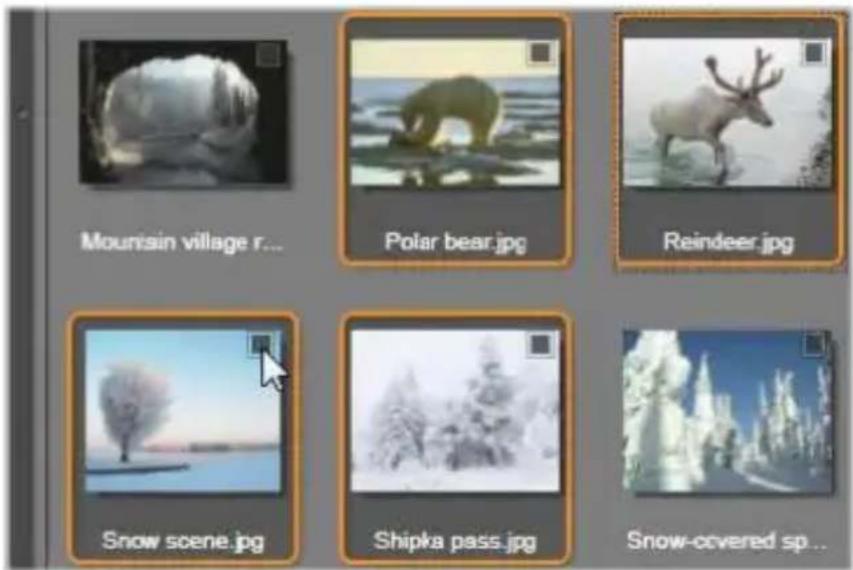 Mountain village r... Polar bear.jpg Reindeer.jpg Snow scene.jpg Shipka pass.jpg Snow-covered sp...