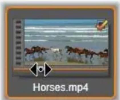 Horses.mp4