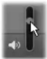 PINNACLE Studio 18 - Anpassen des Browsers - 3