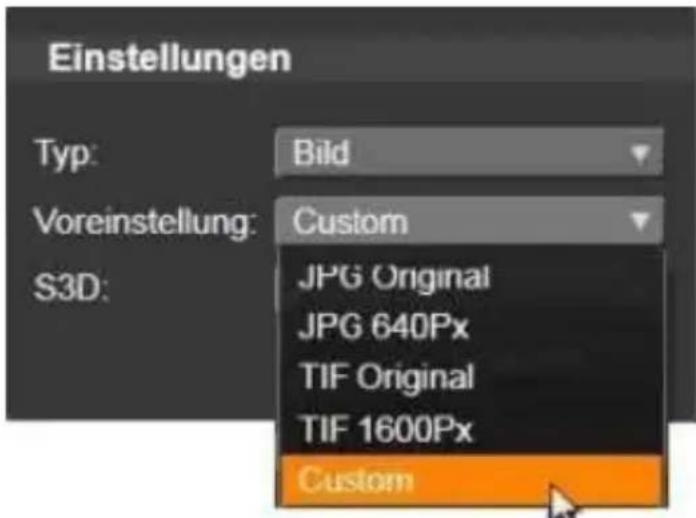 Einstellungen Typ: Bild Voreinstellung: Custom S3D: JPG Original JPG 640Px TIF Original TIF 1600Px Custom