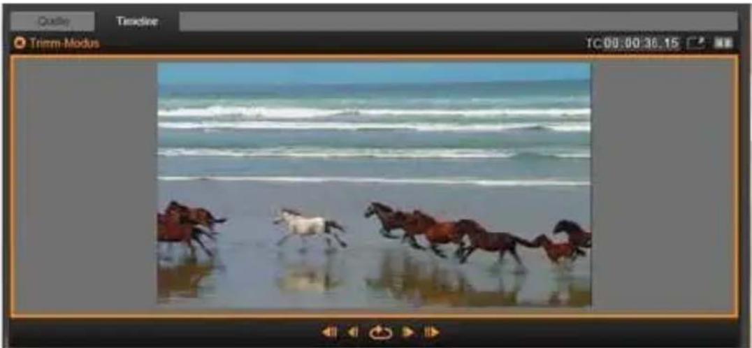 PINNACLE Studio 18 - Der Trimm-Editor - 2