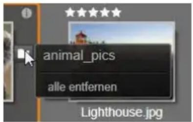 animal_pics alle entfernen Lighthouse.jpg