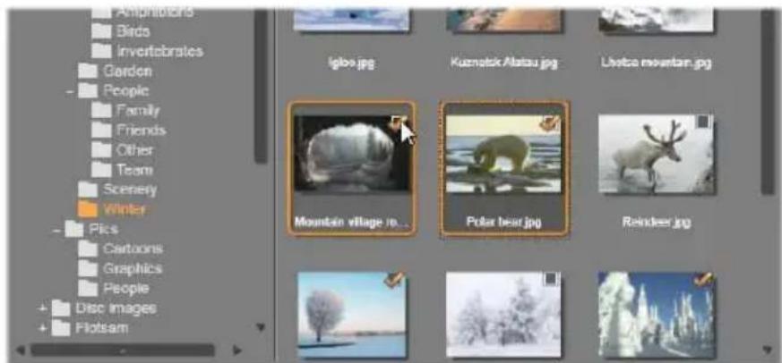 PINNACLE Studio 17 Plus - Der Browser für Ordner und Dateien - 2