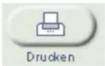 PINNACLE Instant VideoAlbum - Das Dialogfenster zum Drucken von Labels und Einlagen - 1