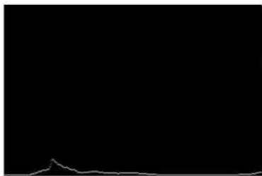 HONEYWELL 7980G-2KBWC-0 - W - Histogram Ship - 2