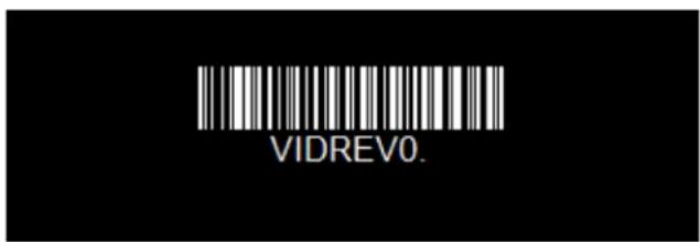 VIDREV0.