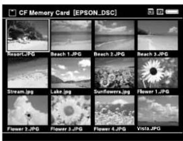 CF Memory Card [EPSON_DSC] Resort.JPG Beach 1.JPG Beach 2.JPG Beach 3.JPG Stream.jpg Lake.jpg Sunflowers.jpg Flower 1.JPG Flower 2.JPG Flower 3.JPG Flower 4.JPG Visa.JPG