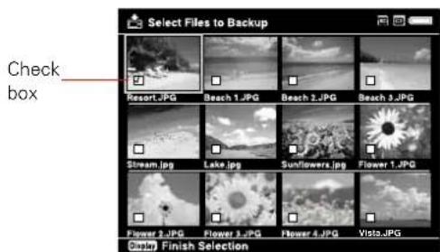 Check box Select Files to Backup Resort.JPG Beach 1.JPG Beach 2.JPG Beach 3.JPG Stream.jpg Lake.jpg Sunflowers.jpg Flower 1.JPG Flower 2.JPG Flower 3.JPG Flower 4.JPG Visits.JPG Display Finish Selection