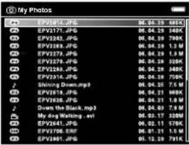 EPSON P-3000 - Changing the Display - 3