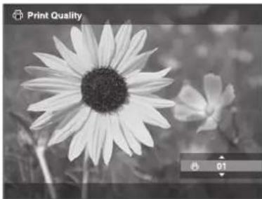 EPSON P-3000 - Note: - 2