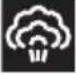SMEG SF4120VCN1 - Hefestufe - 34