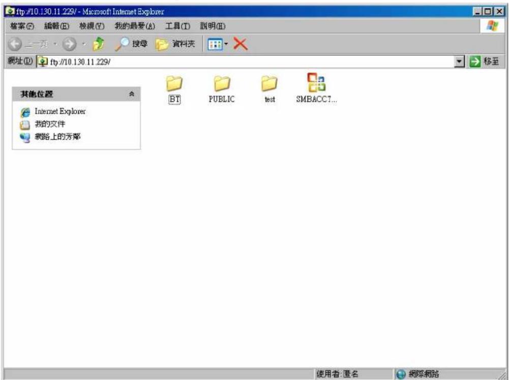 Inter-Tech EZ-NAS Gigabit NAS - Using FTP Within Microsoft Internet Explorer 7 - 1