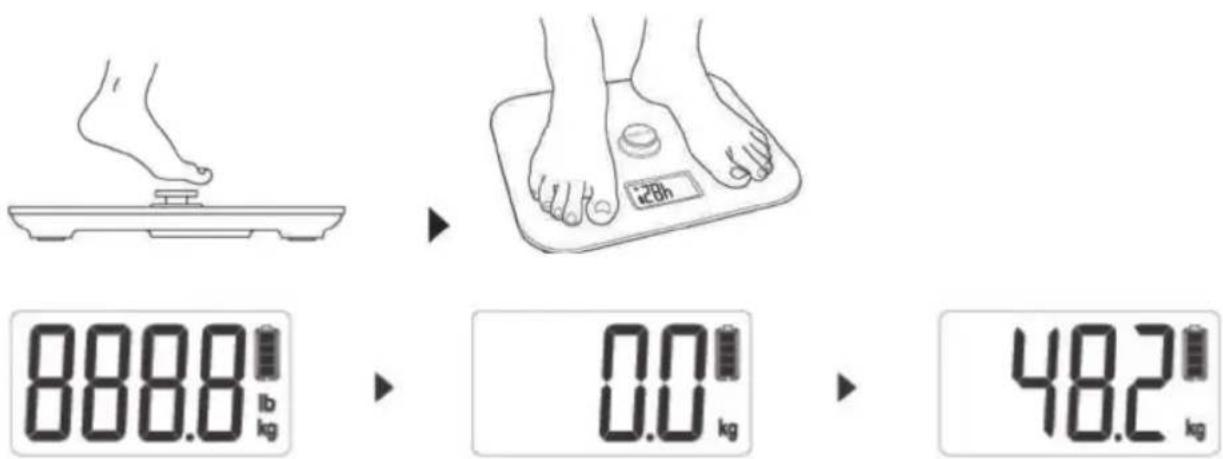 KORONA Mona 73160 - Weighing - 1