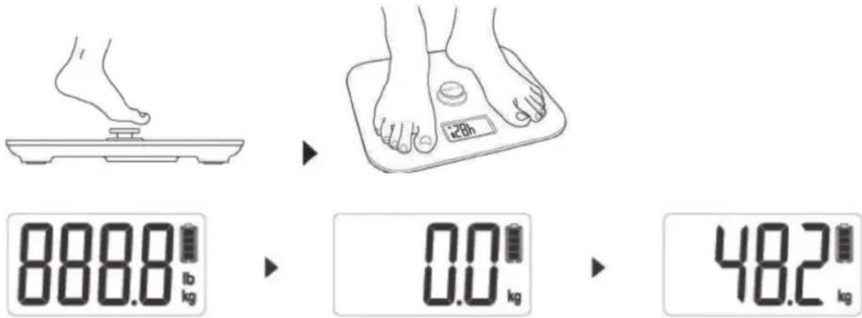 KORONA Mona 73160 - Wiegen - 1