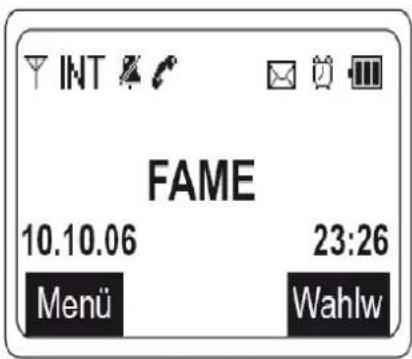 AEG Fame 405 - Display - 1