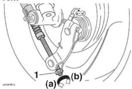 (a) (b)