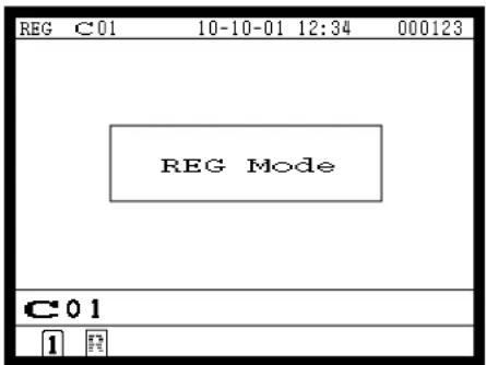 REG C01 10-10-01 12:34 000123 REG Mode C01 1
