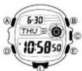 CASIO 2943 - Über diese Anleitung - 1