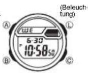 CASIO 2879 - Über diese Anleitung - 3