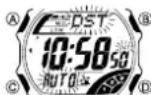 CASIO 2687 - Über diese Anleitung - 5