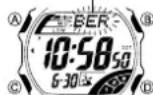 CASIO 2687 - Über diese Anleitung - 4