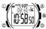 CASIO 2586 - Manuelles Einstellen von Zeit und Datum - 1