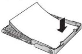 SAGEMCOM MF3350 - Papierausgabehalter - 4