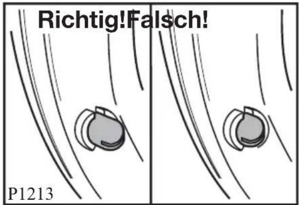 PRIVILEG Dynamic 78618 - Einstellung: - 2