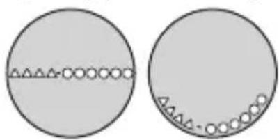 CITIZEN CAL J290 - To check the movement number - 1