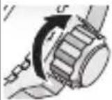 CITIZEN CAL J290 - Screw down crown/button - 2