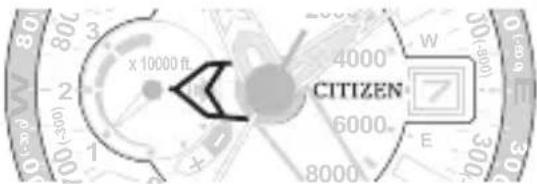 CITIZEN CAL J290 - Press and release the lower left button B - 1