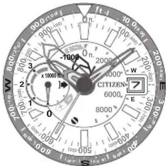 CITIZEN CAL J290 - Indication examples - 2