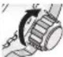 CITIZEN CAL H113 - How to use a specially designed crown/push button - 2
