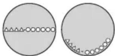 CITIZEN CAL H113 - To check the movement number - 1