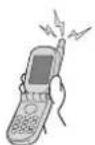 CITIZEN CAL E690 - Radio wave reception function - 4