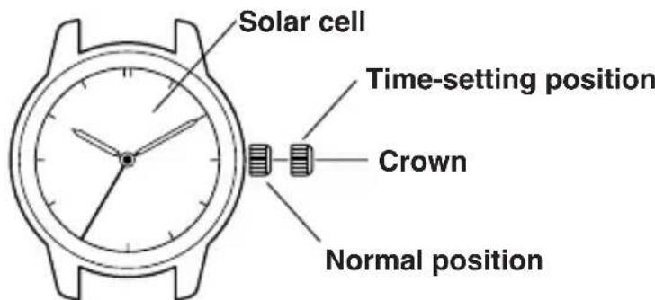 CITIZEN CAL E110 - [1] Three-hand models without calendar display - 1