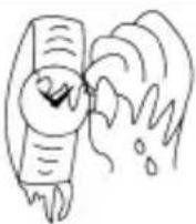 CITIZEN CAL E110 - CAUTION: Water-resistance performance - 5