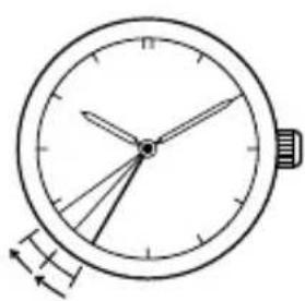CITIZEN CAL E110 - IN THESE CASES - 1