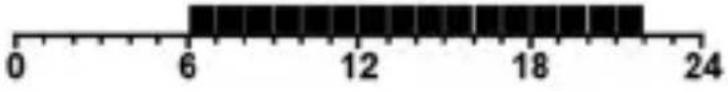 Salus PH60-1 - Programmeinstellung - 4