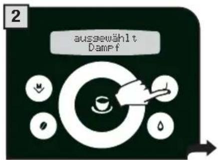 ausgewählt Damf