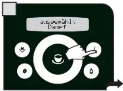 ausgewählt Dampf